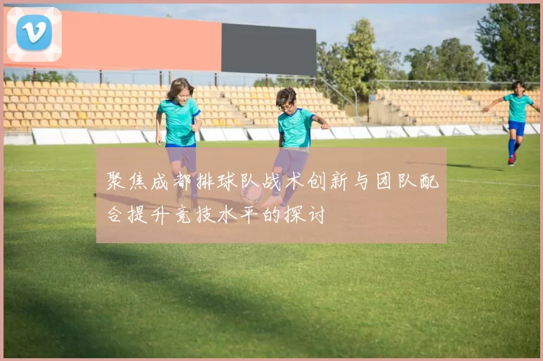 聚焦成都排球队战术创新与团队配合提升竞技水平的探讨